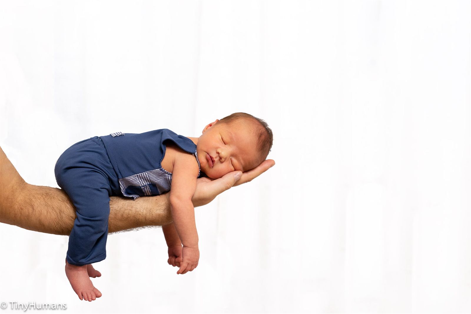 Homepage carousel image 3