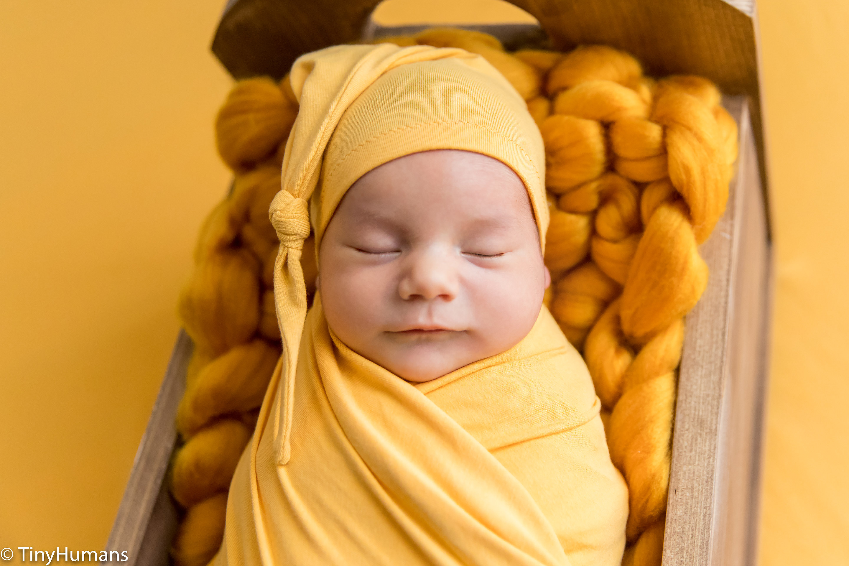 Newborn photo session