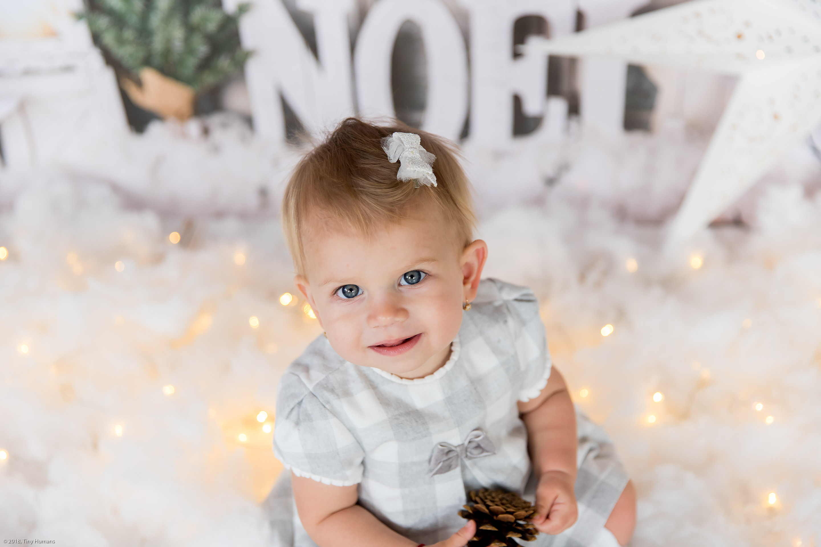 Sinterklaas Photo Session Amsterdam 2019